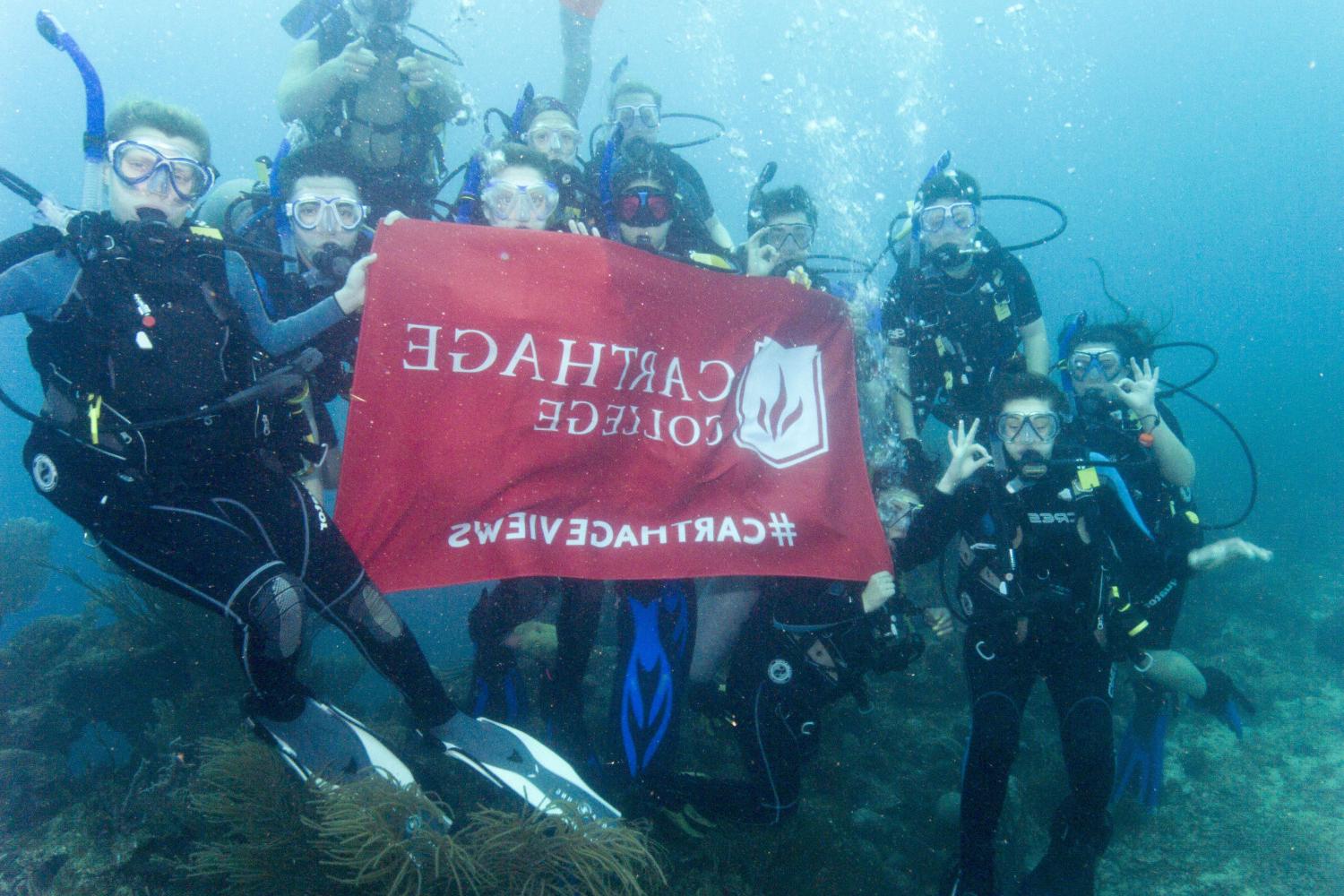 学生们手持<a href='http://mjgi.ngskmc-eis.net'>bv伟德ios下载</a>旗帜，在j学期洪都拉斯游学之旅中潜水.